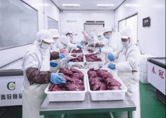 <b>远销欧美、日本等十余国</b>