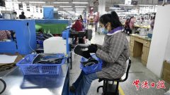 自动化裁剪机、刺绣机等设备精准作业