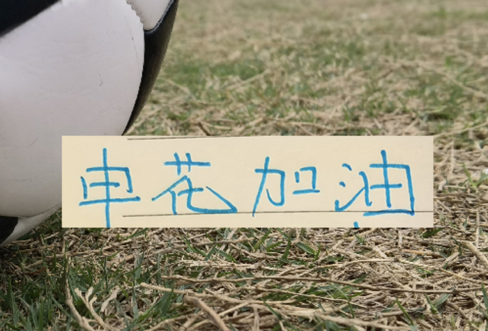 申花积分垫底伤病困扰 能否摆脱降级区争夺冠军